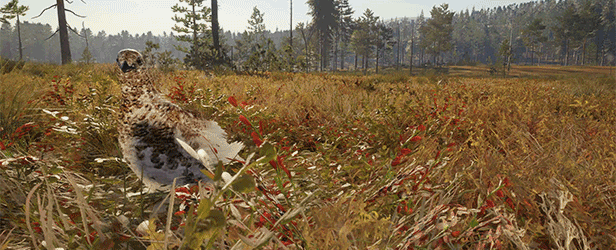 theHunter: Call of the Wild - Revontuli Coast thumbnail