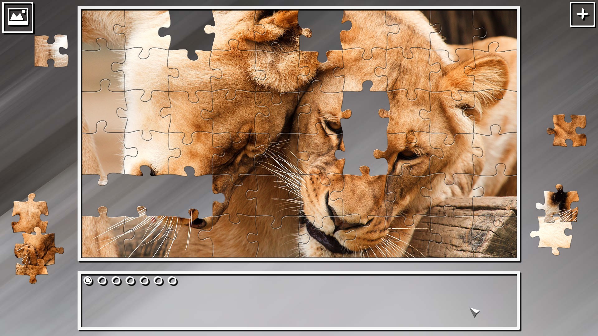 Super Jigsaw Puzzle: Generations - Big Cats 2 screenshot 1