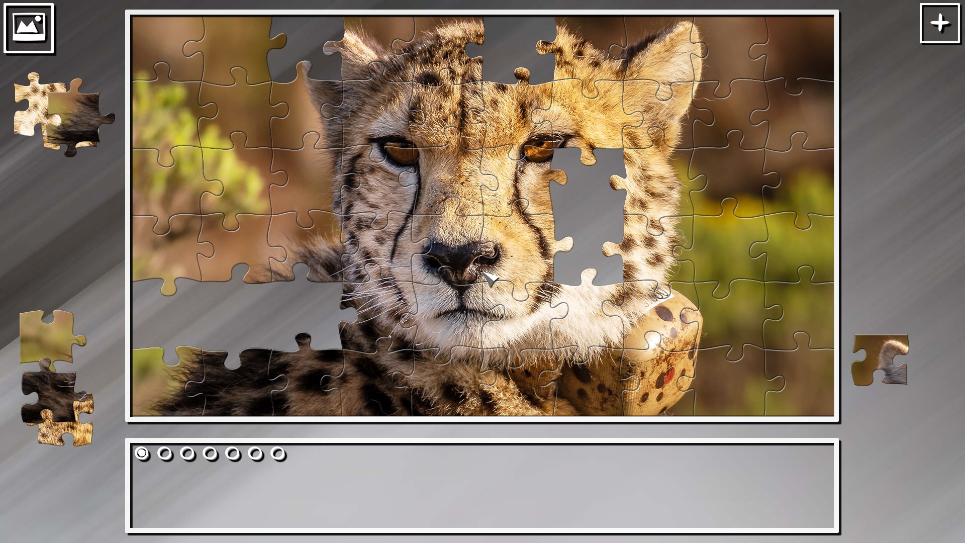Super Jigsaw Puzzle: Generations - Big Cats 2 screenshot 2