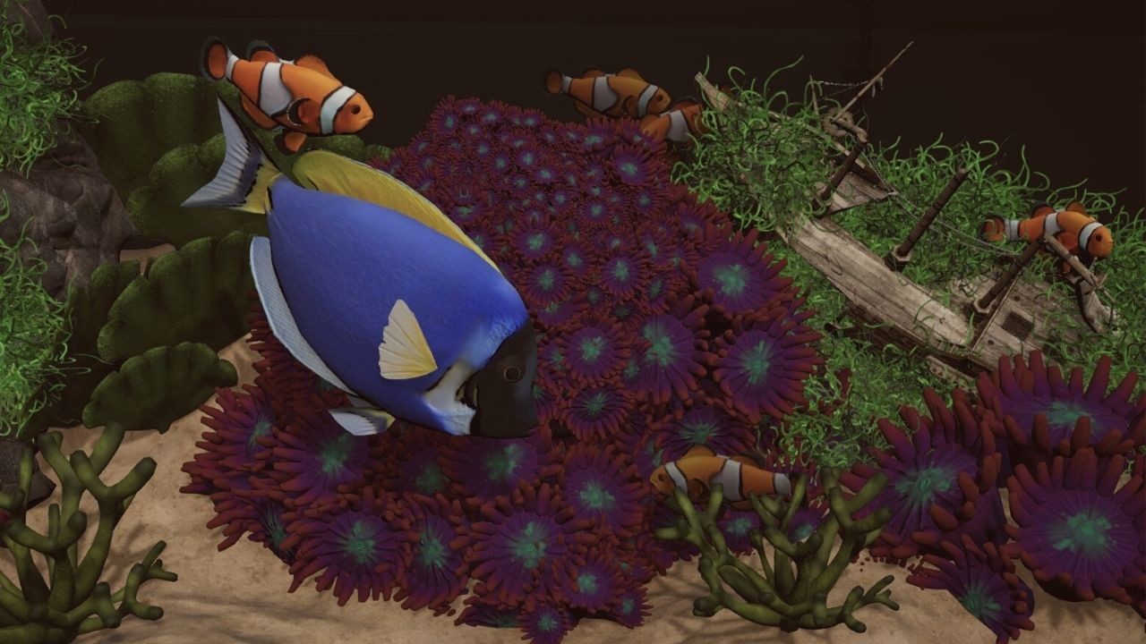 Aquarium Designer – Sea Life screenshot 1