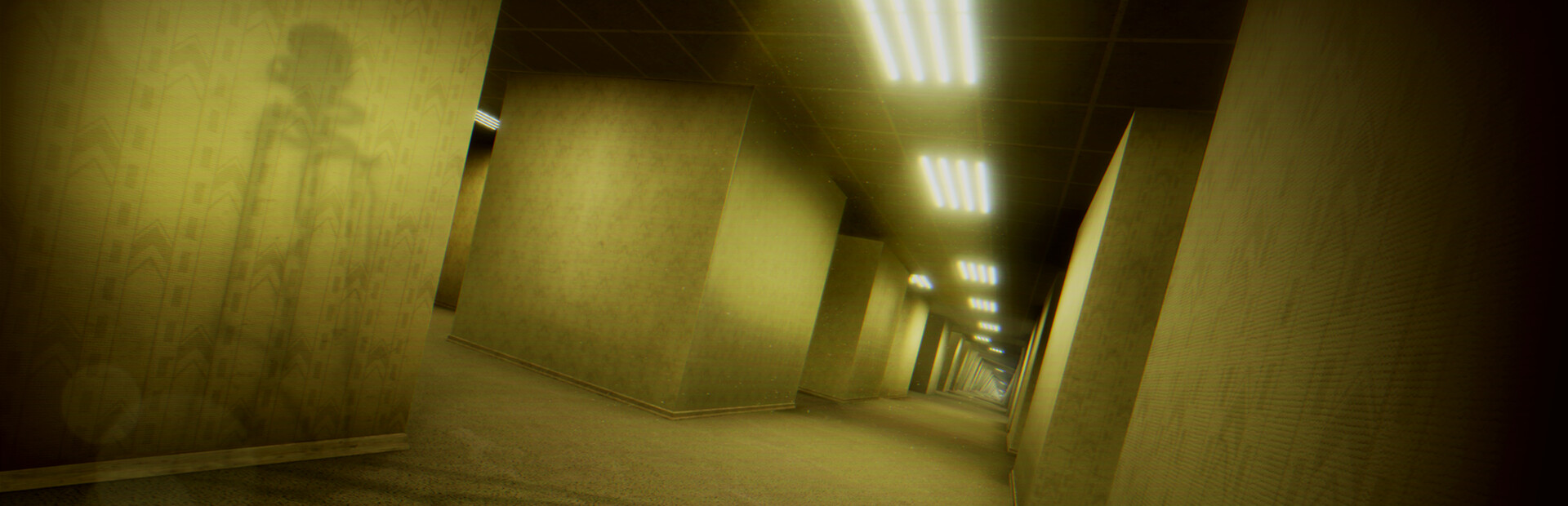Capsule