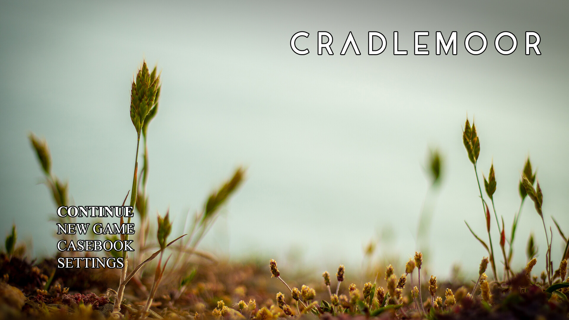 Cradlemoor screenshot 9