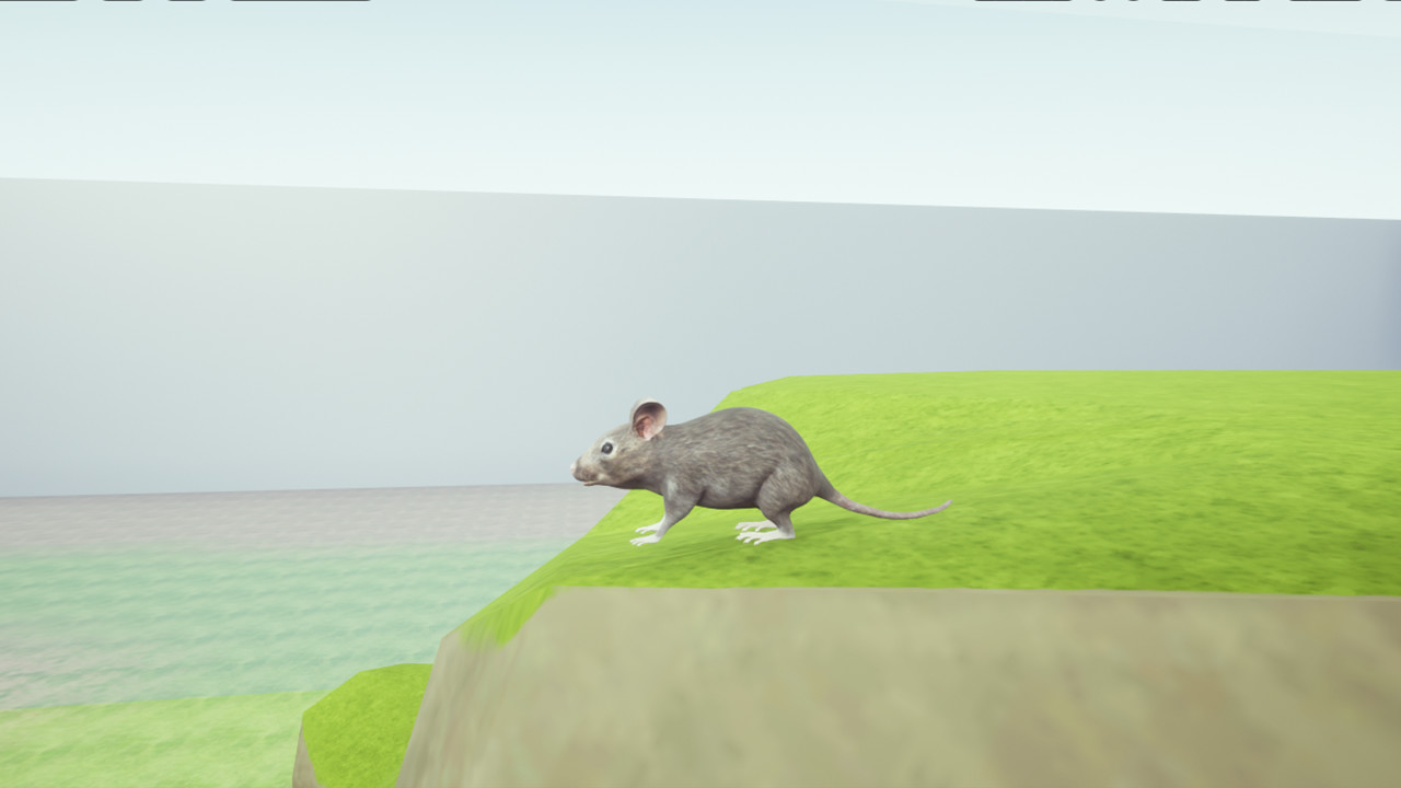 RAT MEMORY screenshot 1