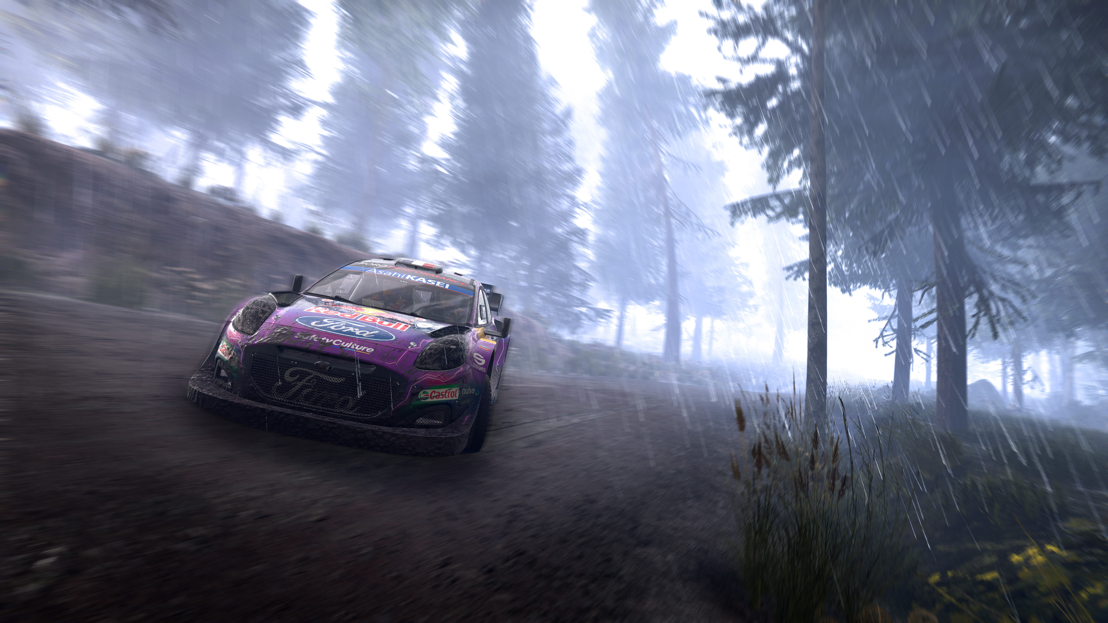 WRC Generations - The FIA WRC Official Game screenshot 2