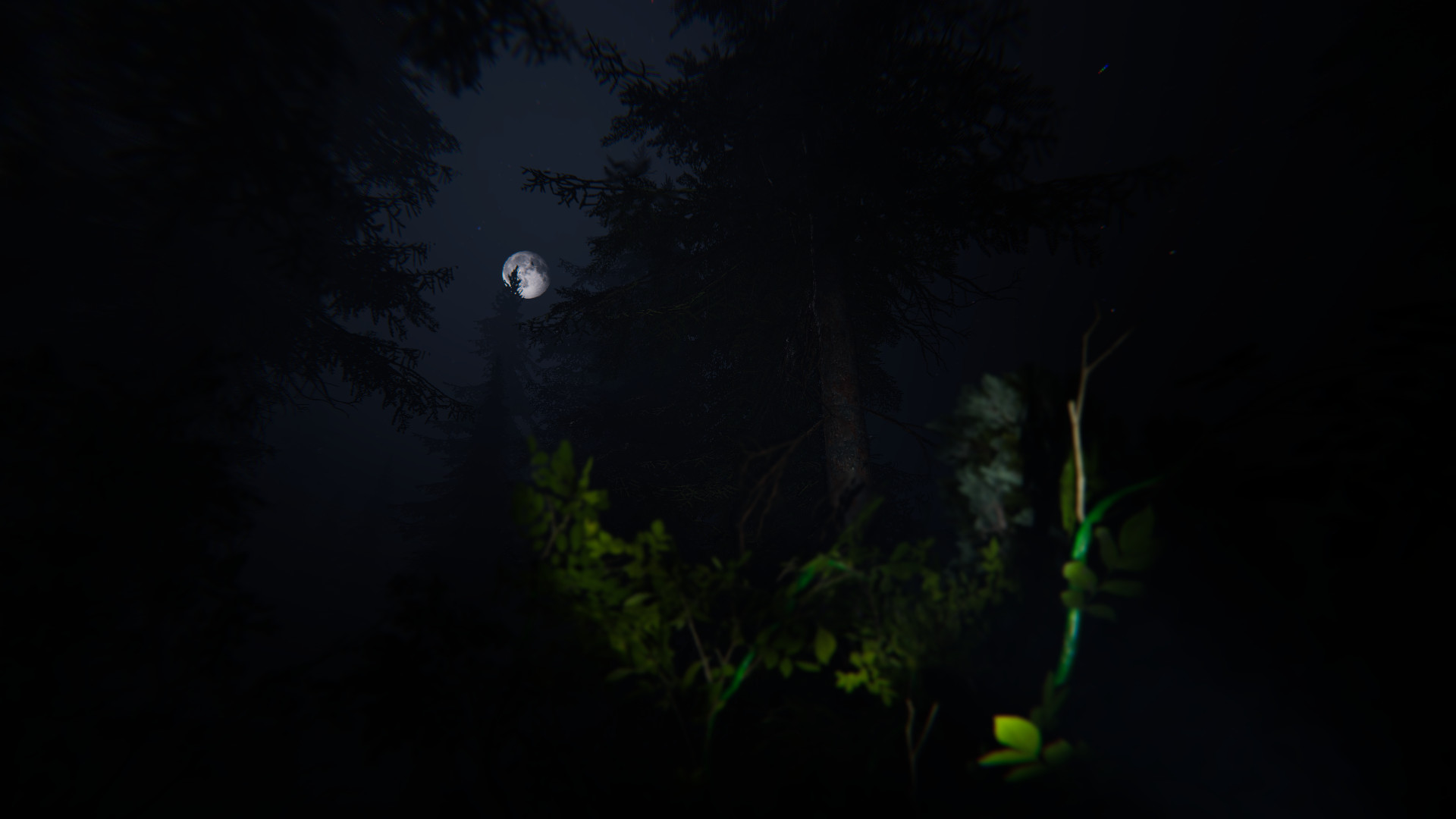 Taiga screenshot 4