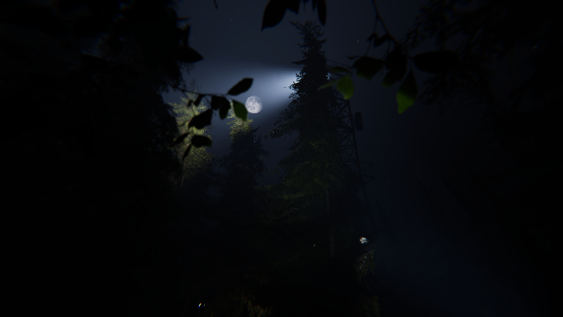 Taiga screenshot 3