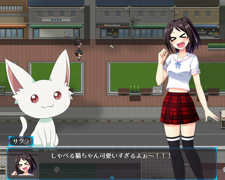 Prisseceal, the Dazzling-and-Flaring Peach Princess screenshot 4