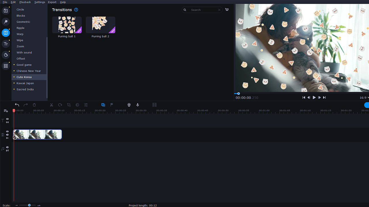 Movavi Video Suite 2022 - Eastern World Set screenshot 2