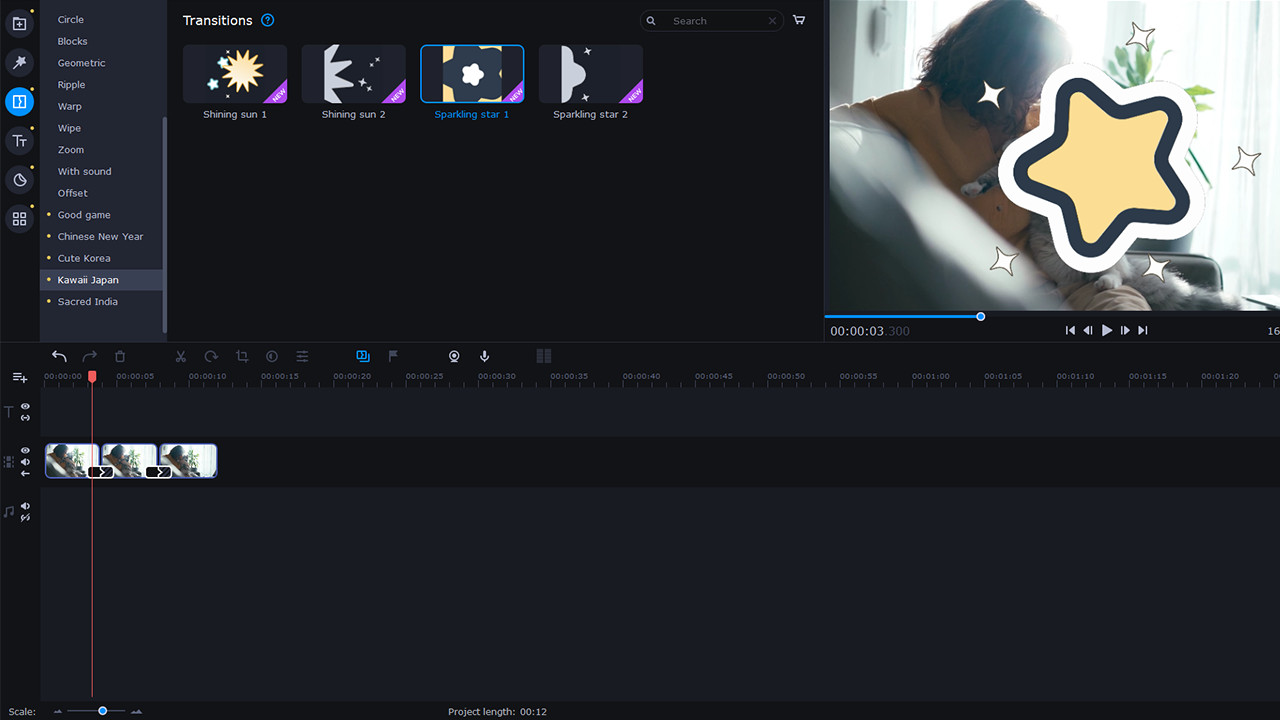 Movavi Video Suite 2022 - Eastern World Set screenshot 3