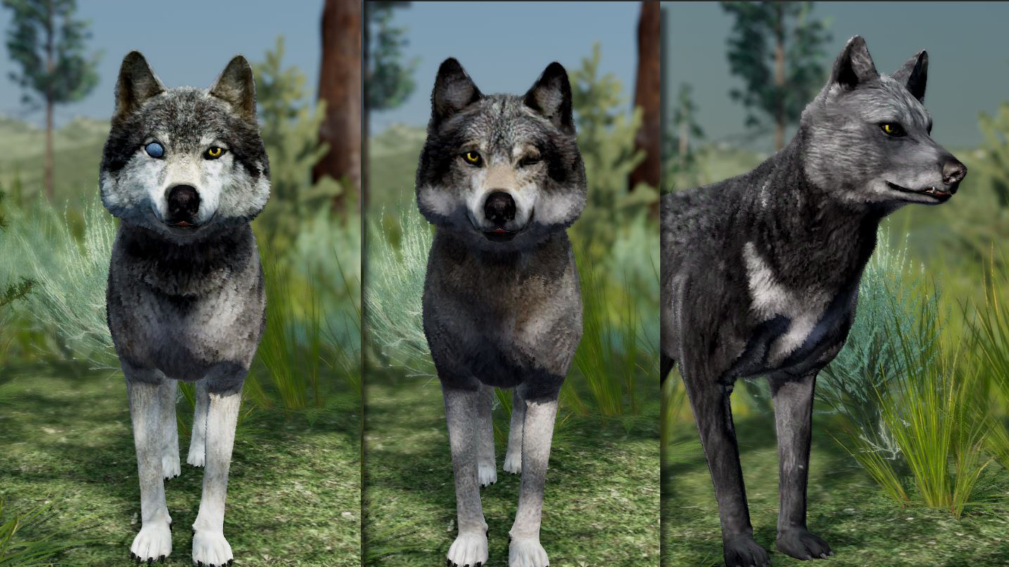 WolfQuest Anniversary - Building Character Pack screenshot 2