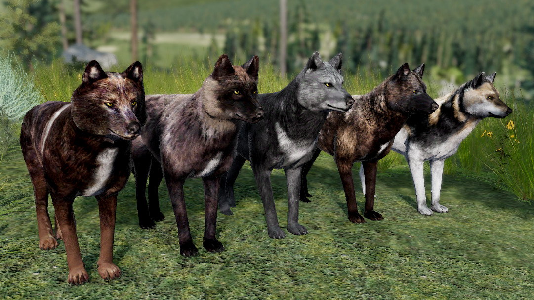 WolfQuest Anniversary - Building Character Pack screenshot 4