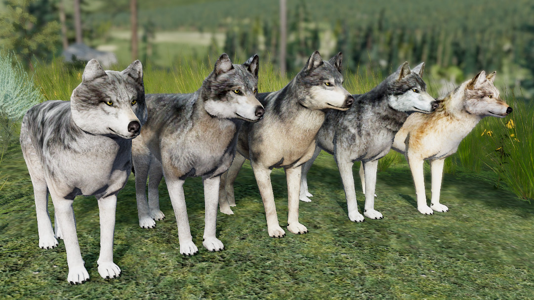 WolfQuest Anniversary - Building Character Pack screenshot 5