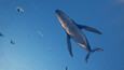 Screenshot 41
