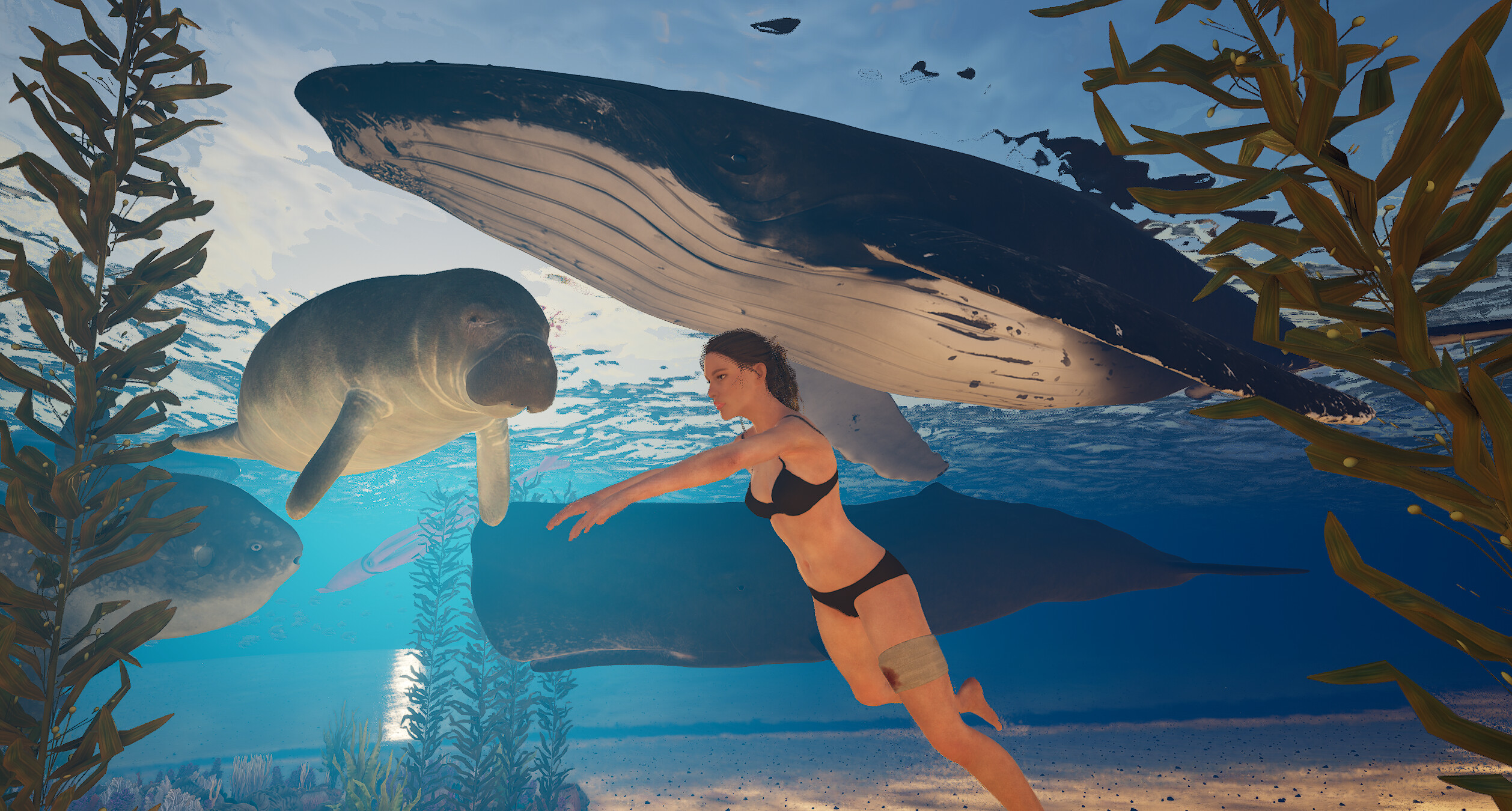 Eden Island screenshot 39