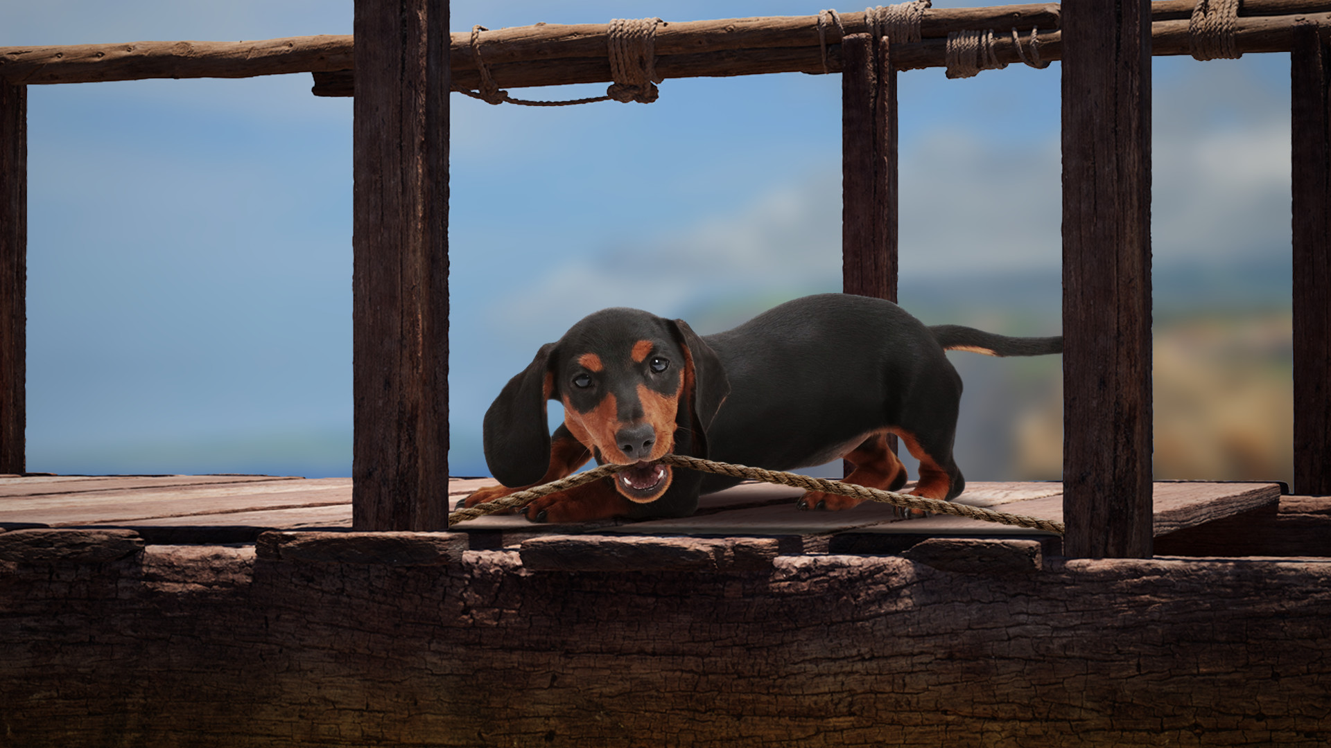 The Lost Dachshund screenshot 8