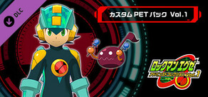 ROCKMAN EXE ADVANCED COLLECTION Vol.1 - 커스텀 PET 팩 Vol.1