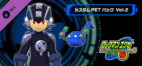 ROCKMAN EXE ADVANCED COLLECTION Vol.2 - 커스텀 PET 팩 Vol.2