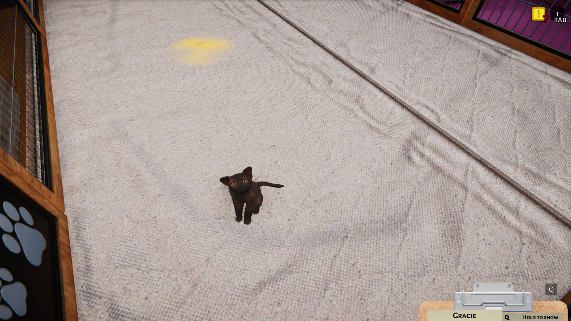 Animal Shelter - Puppies & Kittens DLC screenshot 16