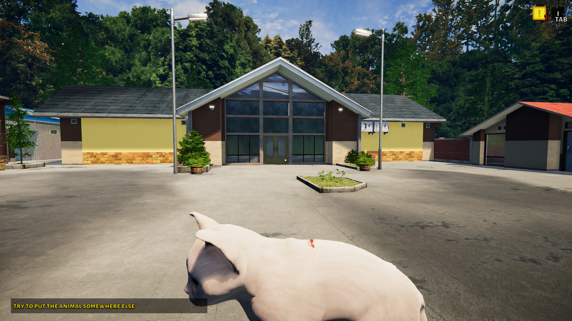 Animal Shelter - Puppies & Kittens DLC screenshot 10