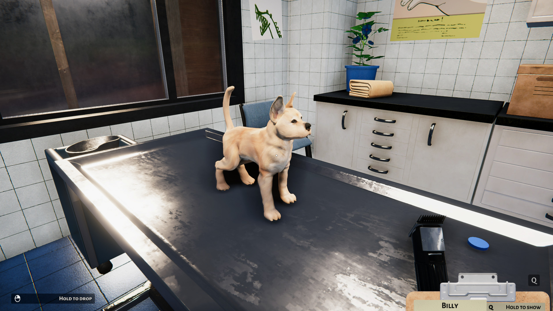 Animal Shelter - Puppies & Kittens DLC screenshot 9