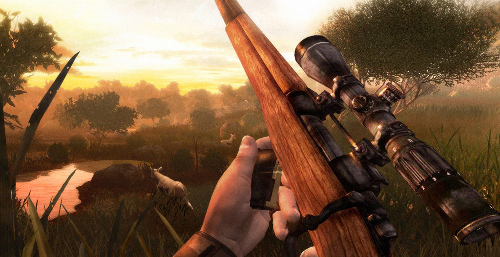 Newest Far Cry 2 (PC)