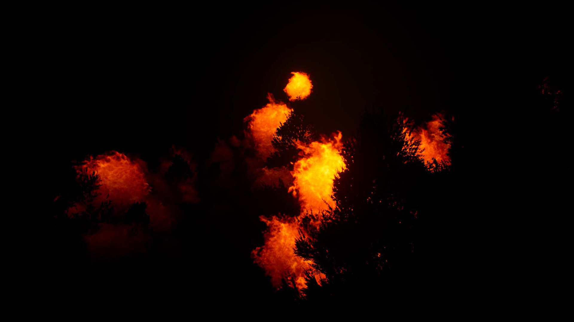 Deer Journey screenshot 5