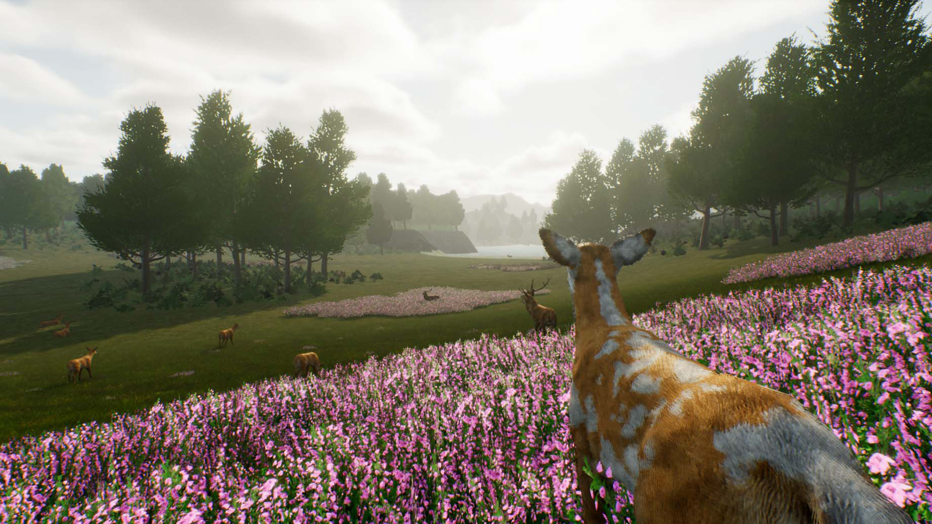 Deer Journey screenshot 2