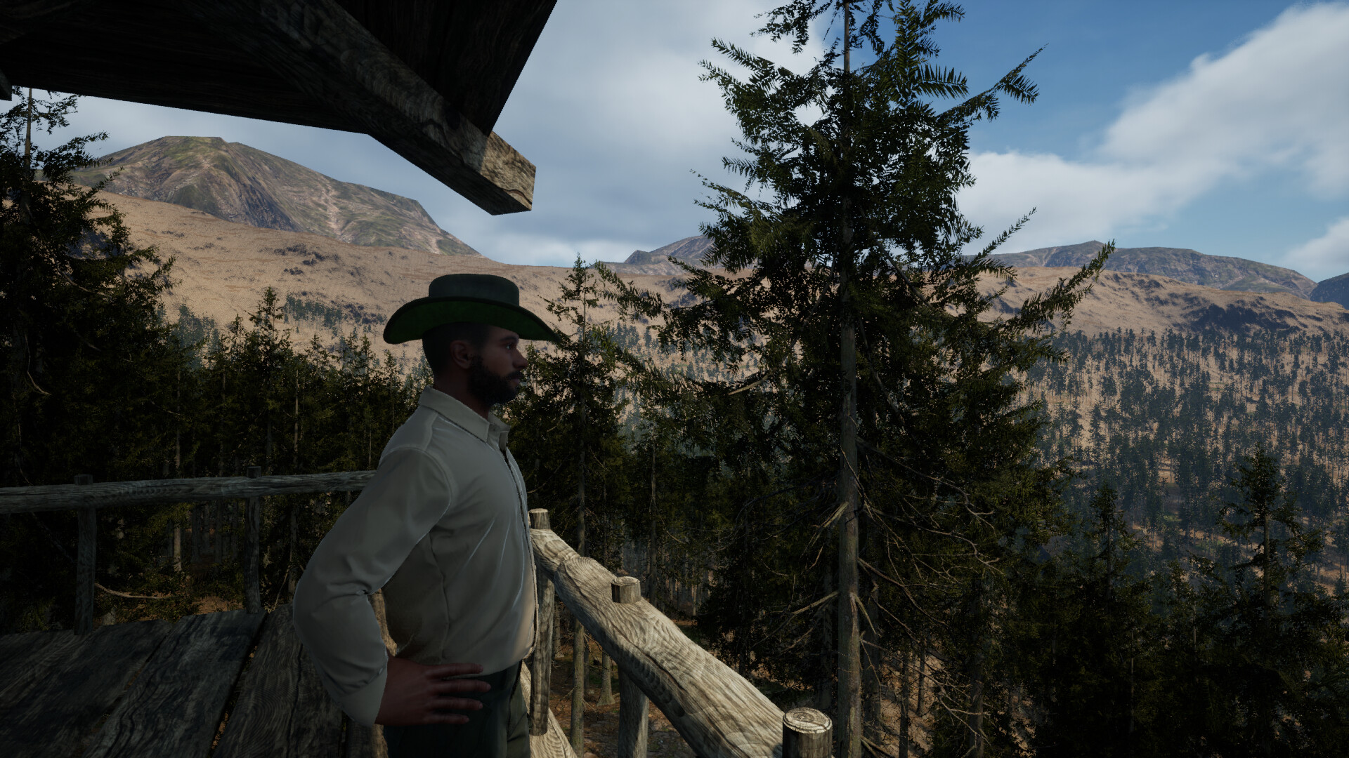 Evergreen screenshot 9