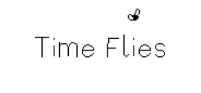 Time Flies