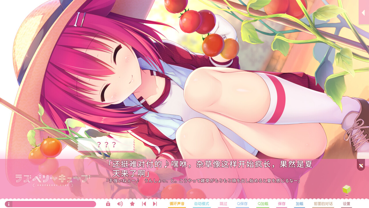 Raspberry Cube screenshot 6