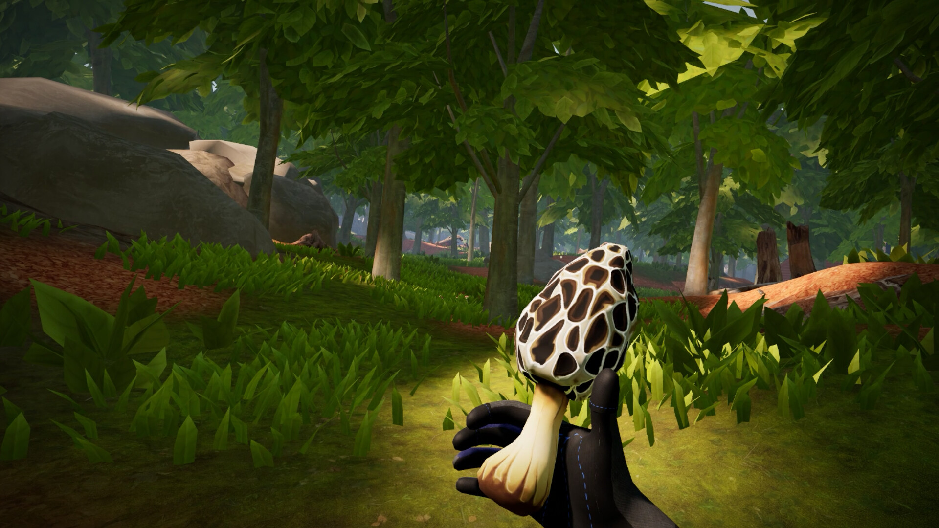 Morels: Homestead screenshot 2