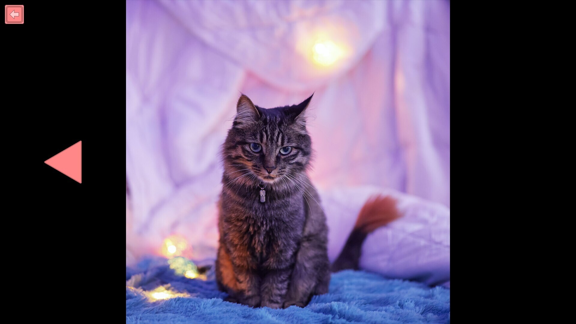TitTok Kitty screenshot 6