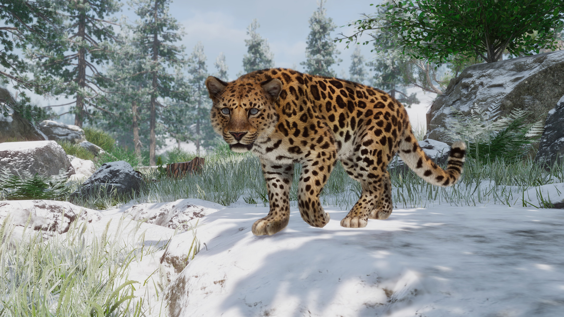 Planet Zoo: Conservation Pack screenshot 5