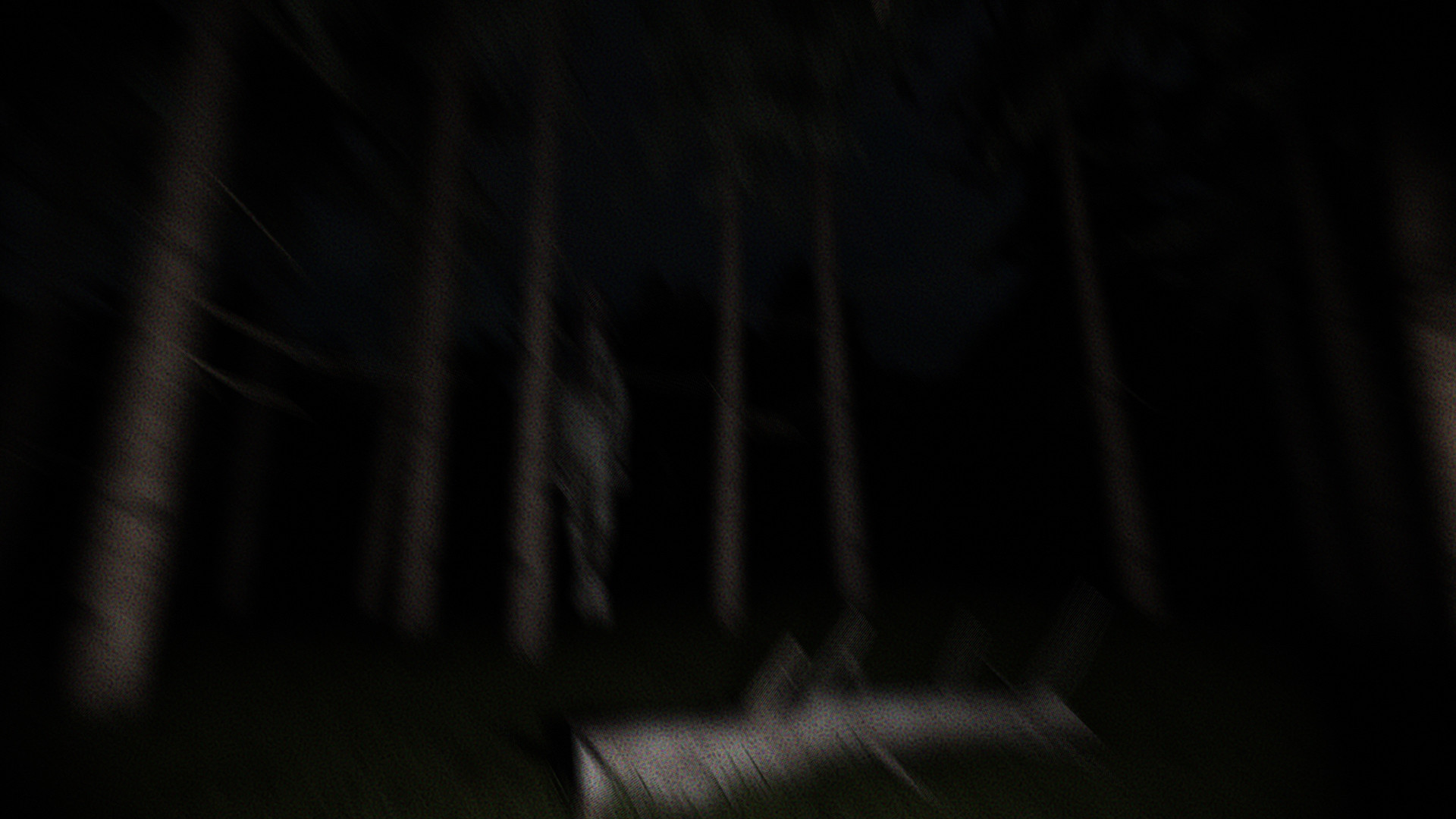 PHOBOS Project screenshot 3