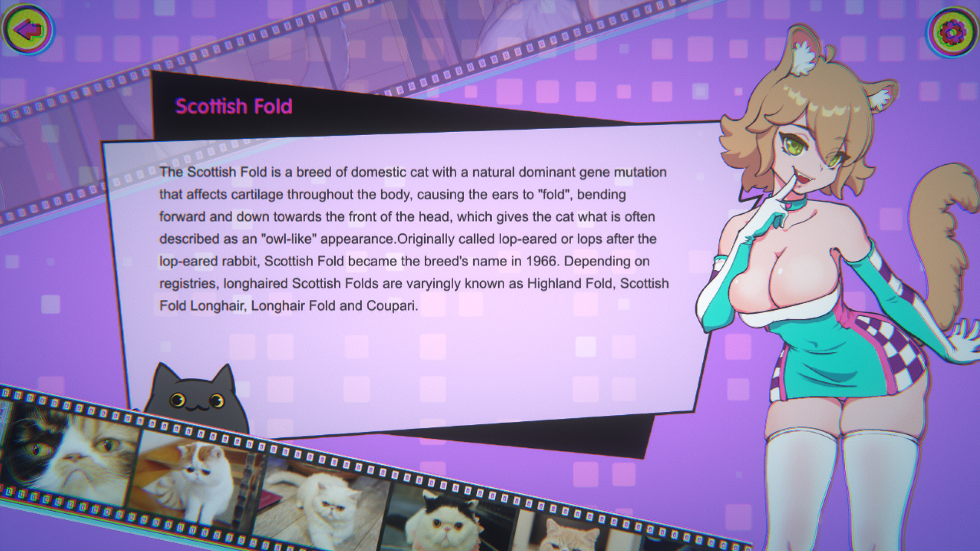 Miss Neko 3 screenshot 5