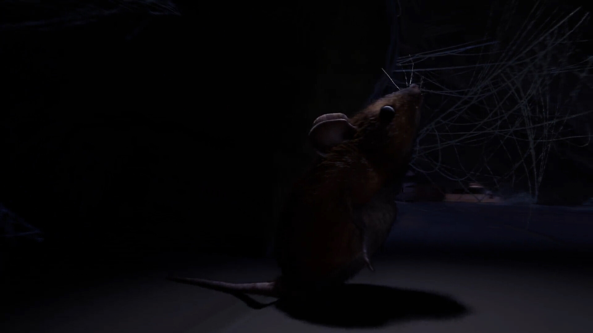 About A Mouse screenshot 3