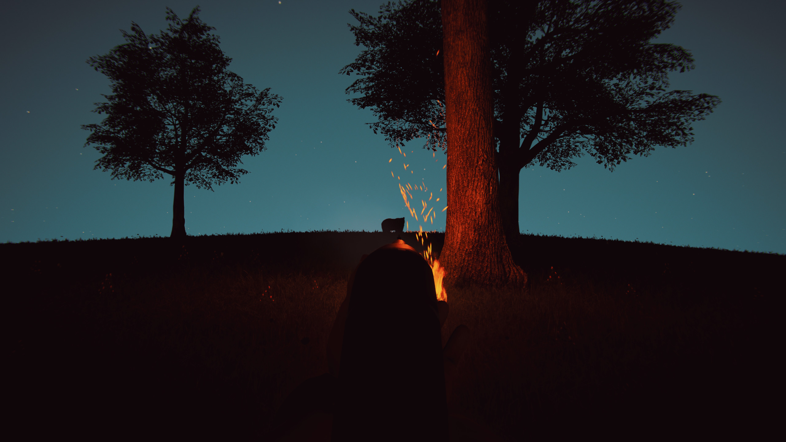 Bolu screenshot 4