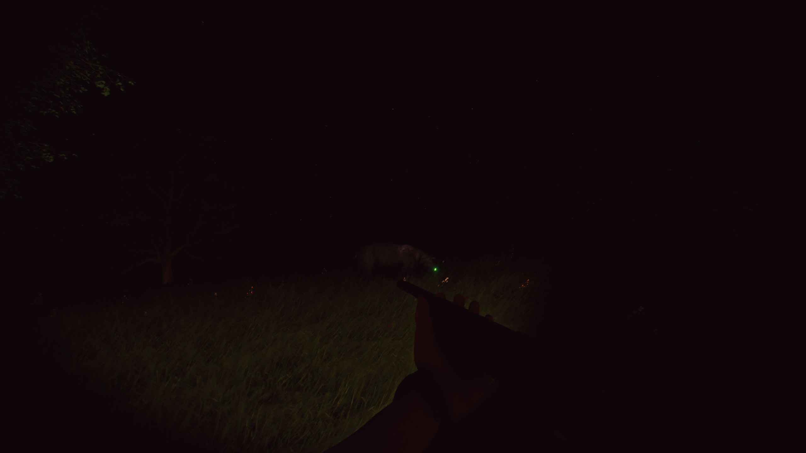 Bolu screenshot 21