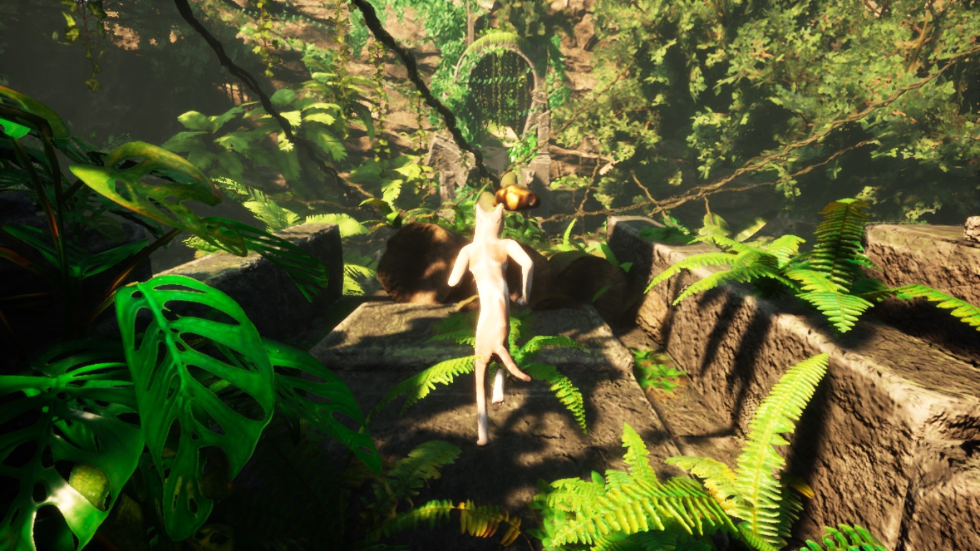 SIMBA THE CAT screenshot 5