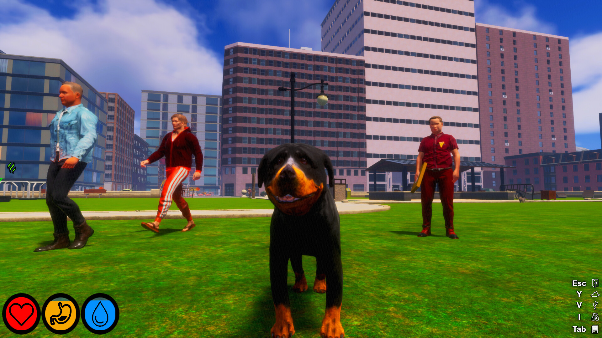 Lost Paws screenshot 9