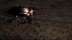 General / Cinematic | Gorky 17 [aka Odium] Trailer