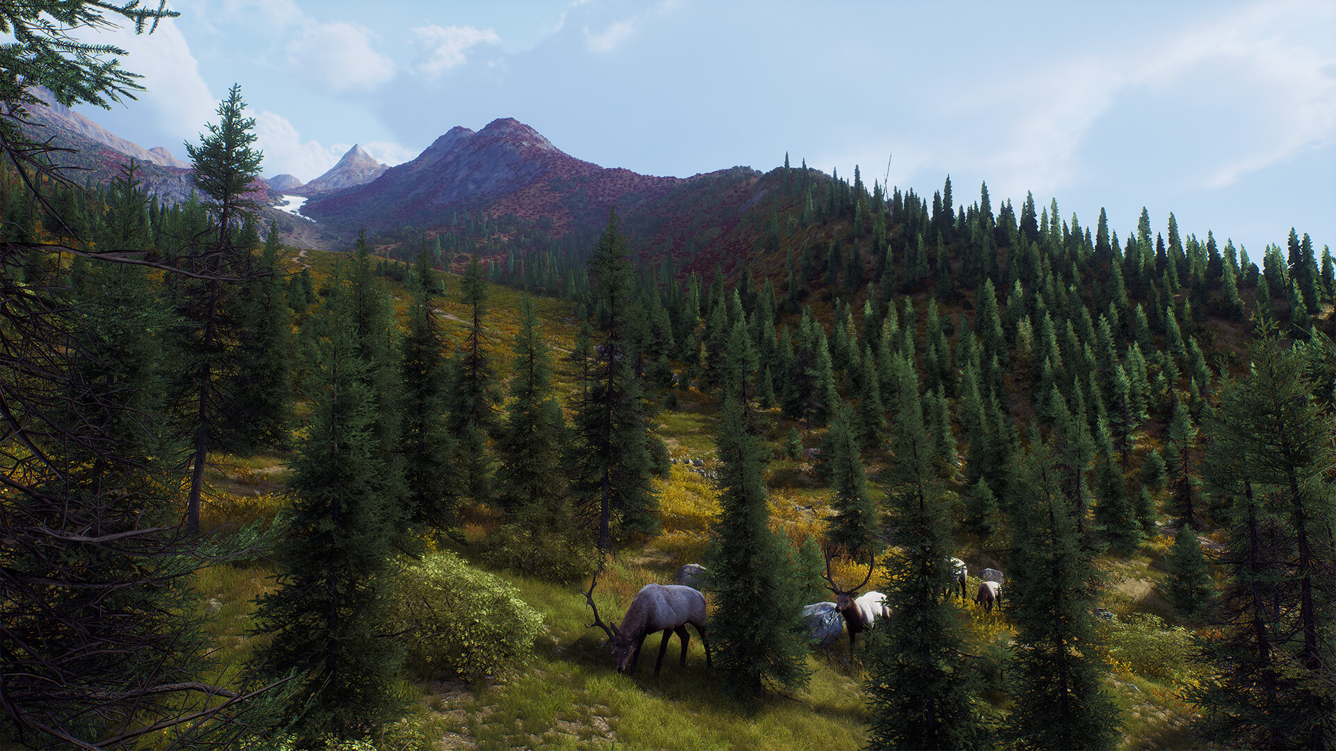 Way of the Hunter - Aurora Shores screenshot 14