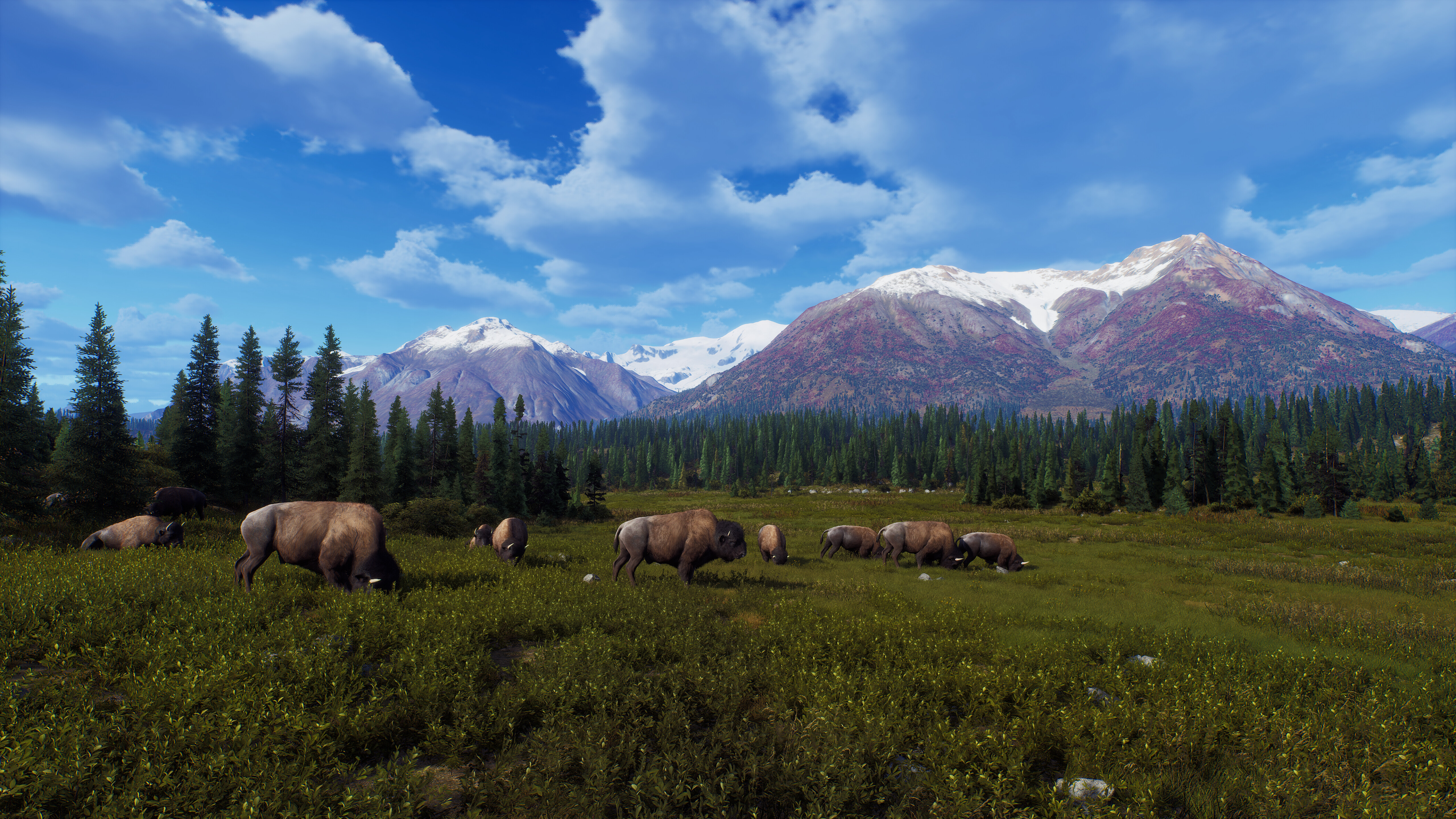Way of the Hunter - Aurora Shores screenshot 9