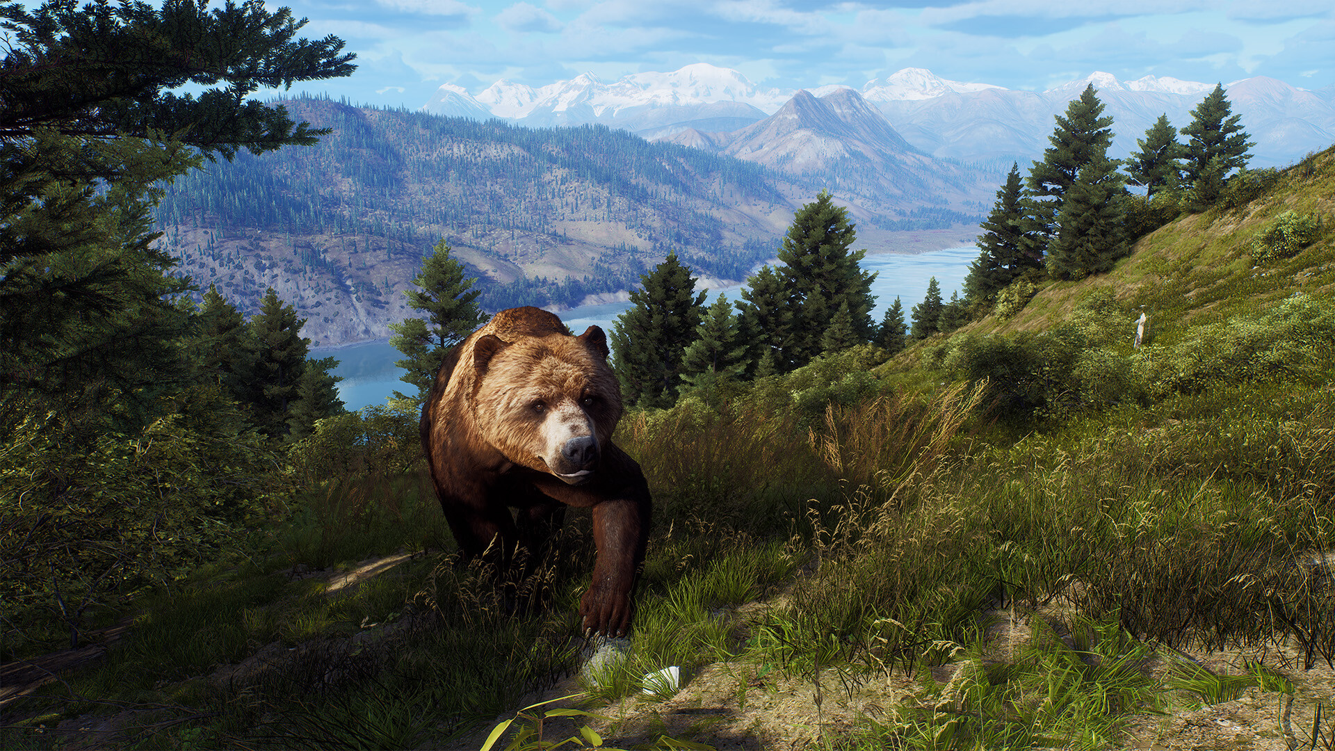 Way of the Hunter - Aurora Shores screenshot 18
