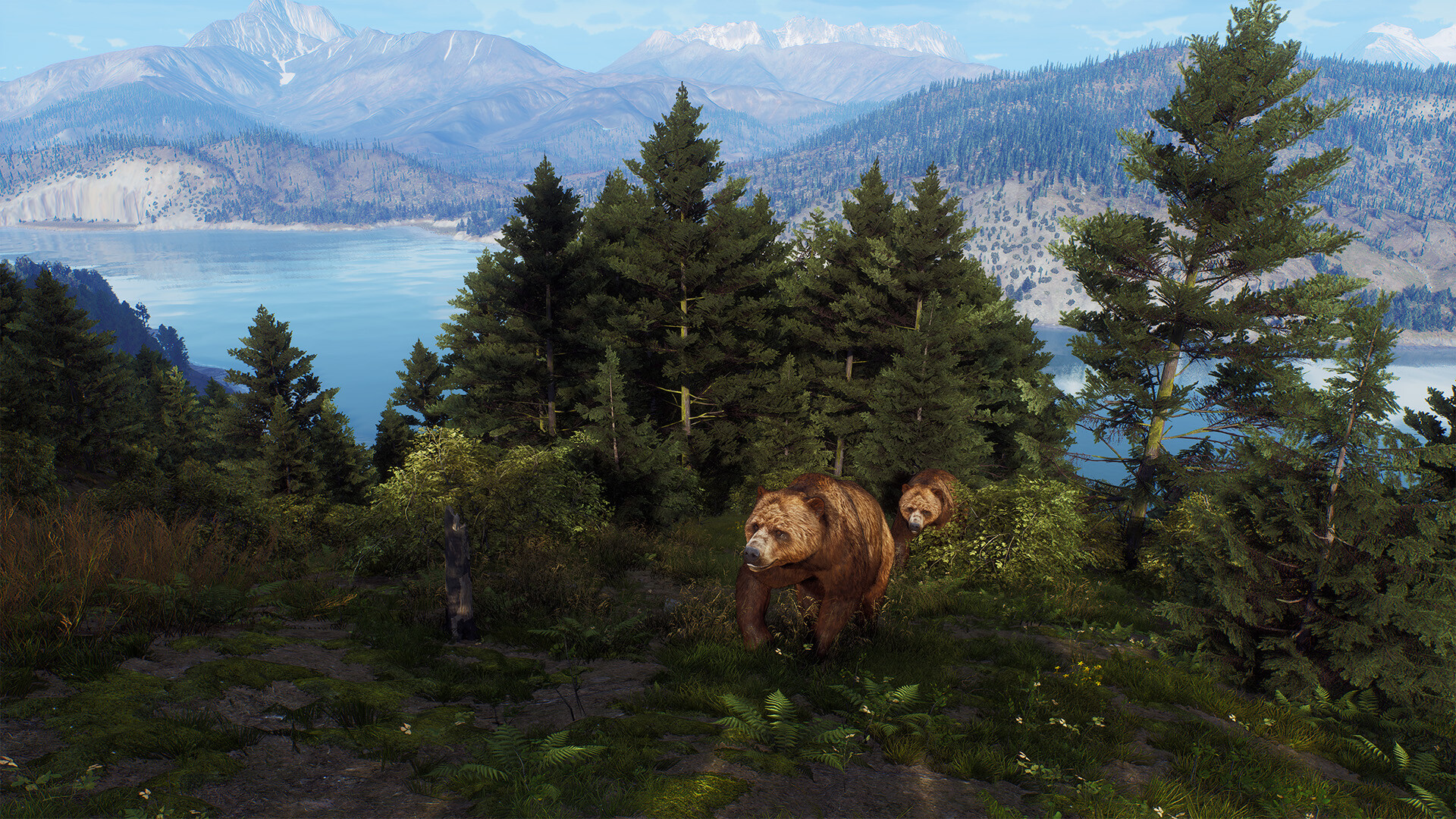Way of the Hunter - Aurora Shores screenshot 16