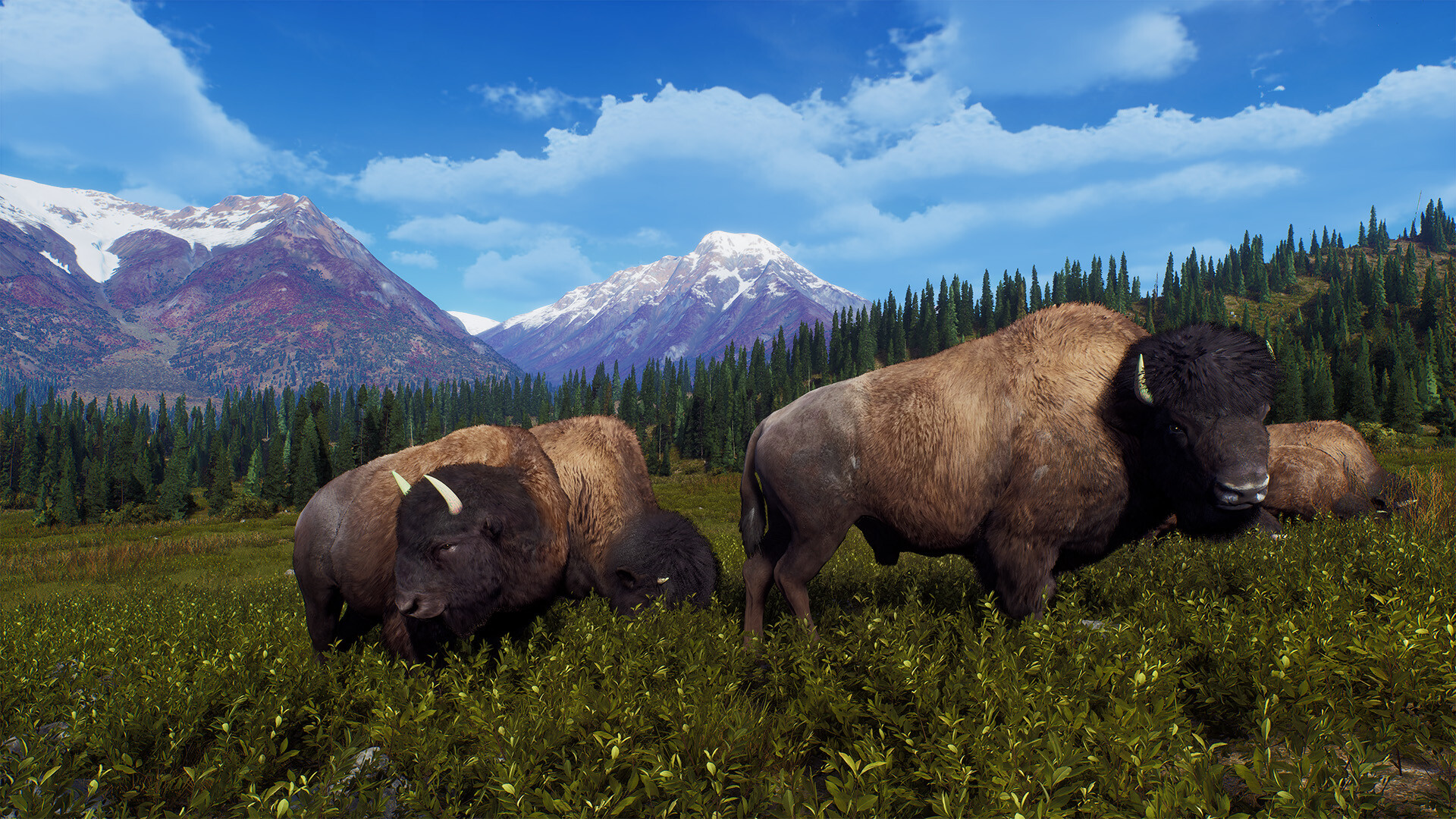 Way of the Hunter - Aurora Shores screenshot 13