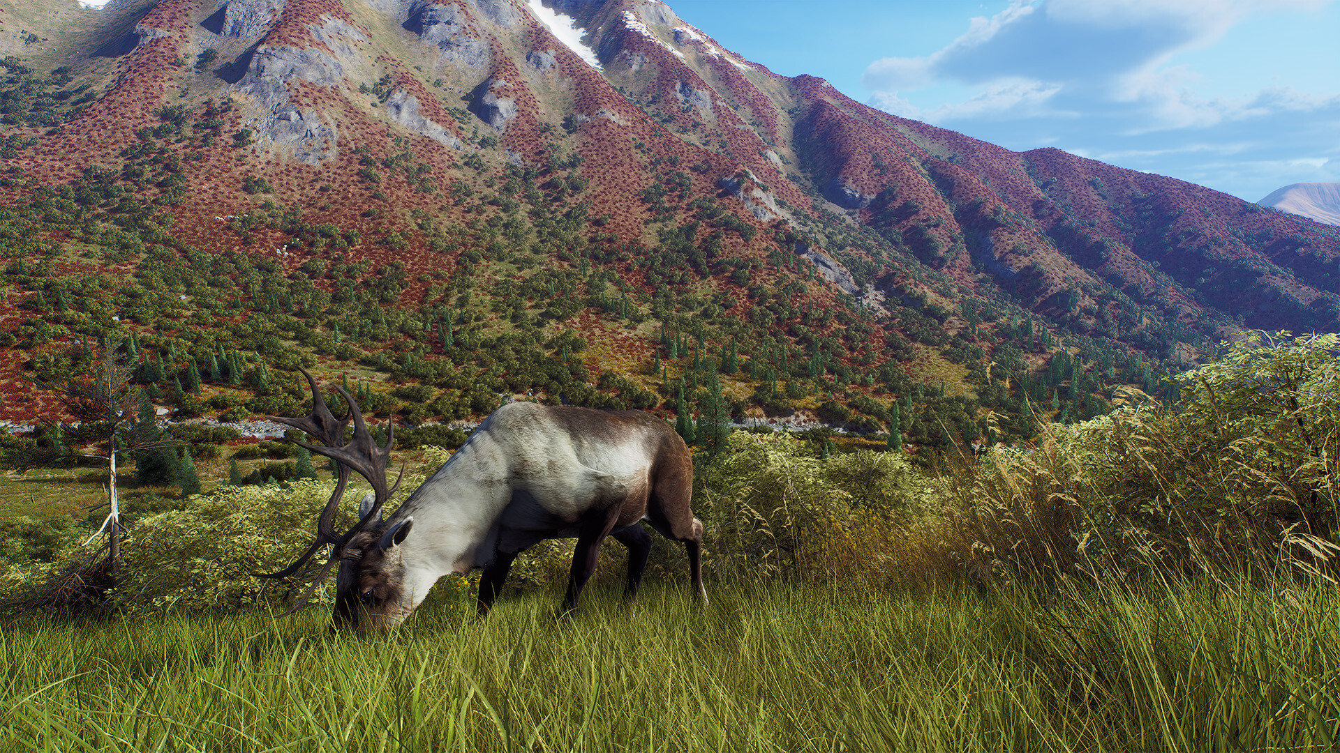 Way of the Hunter - Aurora Shores screenshot 20