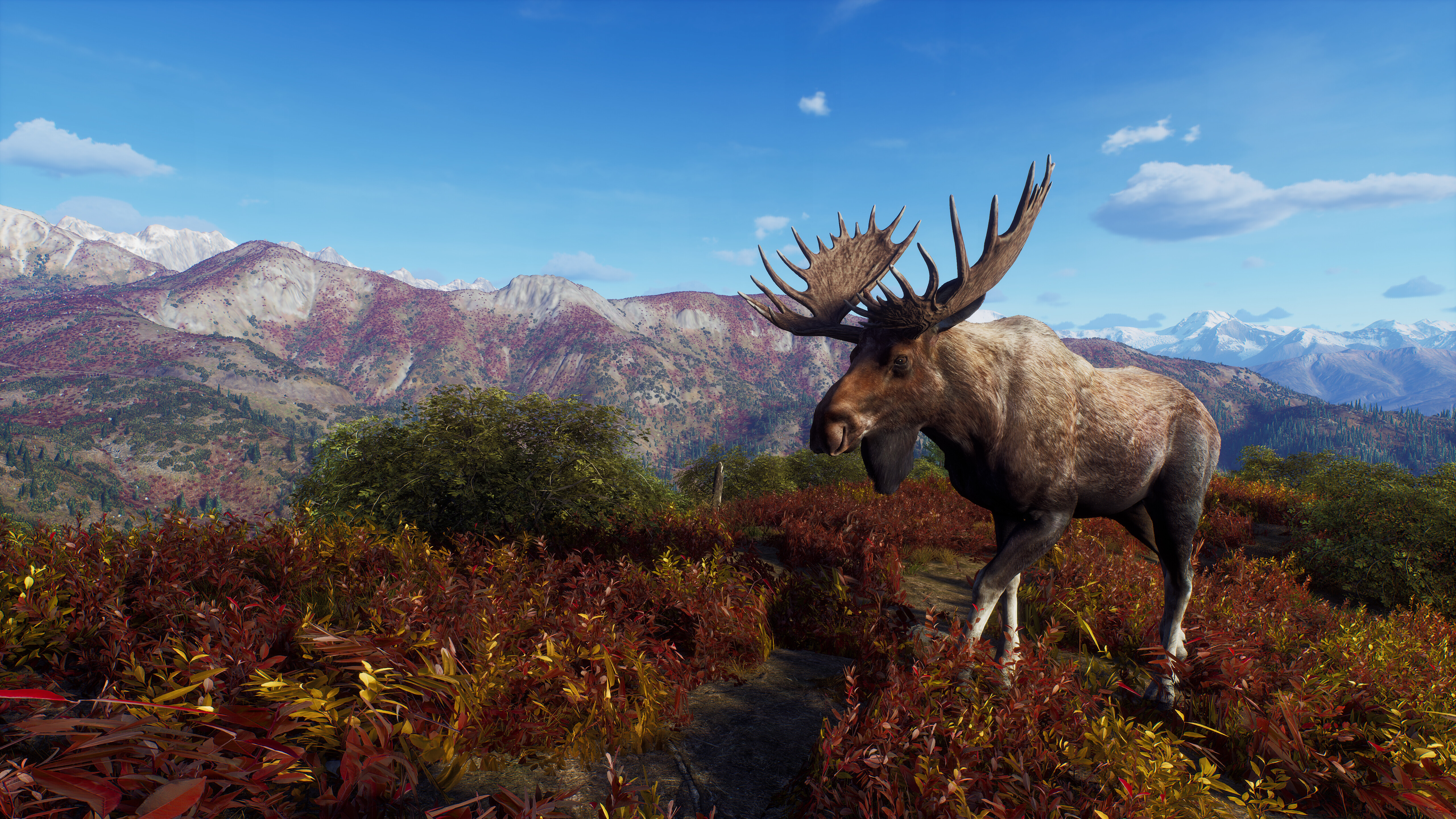 Way of the Hunter - Aurora Shores screenshot 1