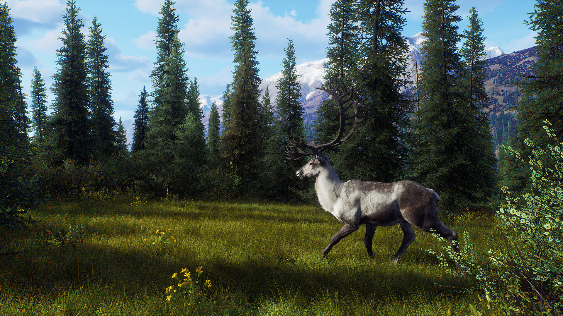 Way of the Hunter - Aurora Shores screenshot 19