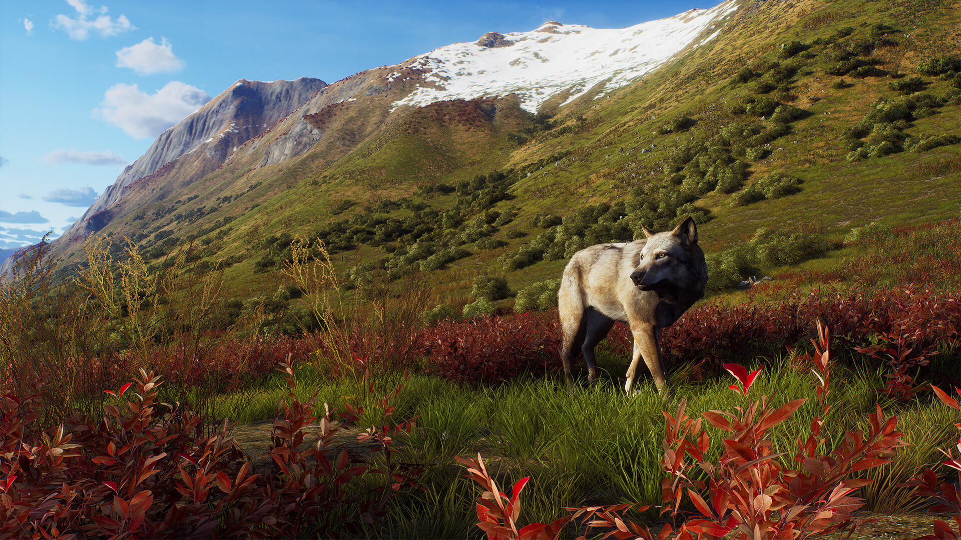 Way of the Hunter - Aurora Shores screenshot 17